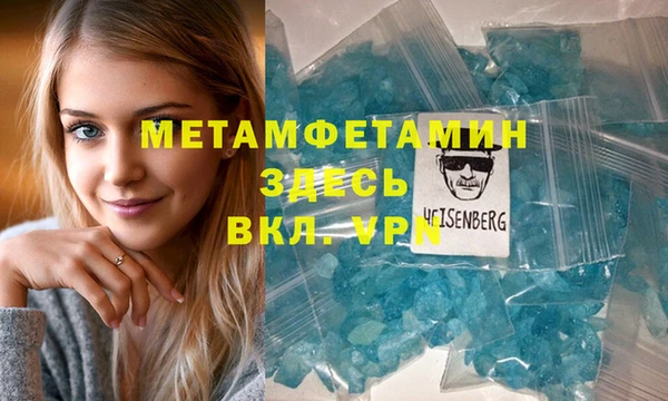 PSILOCYBIN Ветлуга