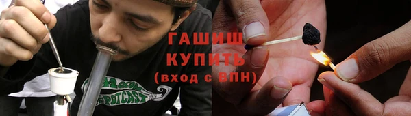 PSILOCYBIN Ветлуга