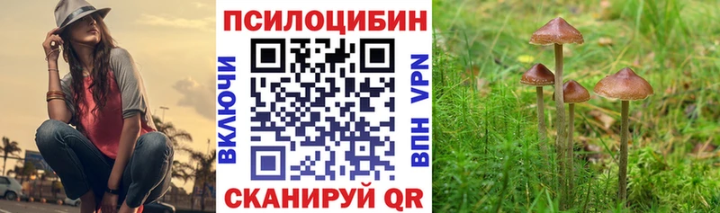 Псилоцибиновые грибы GOLDEN TEACHER  Оханск 